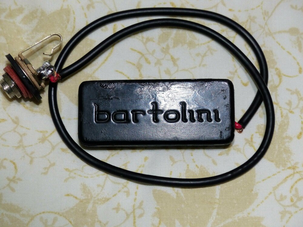 bartolini Guitar Pickup.JPG